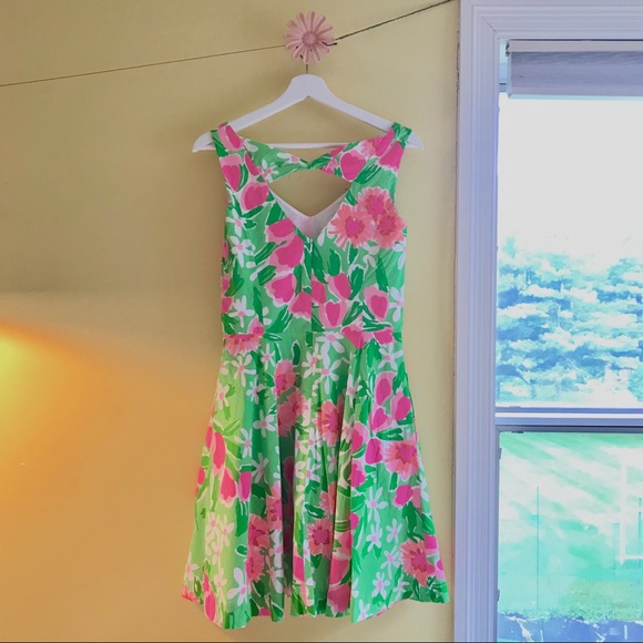 Lily Pulitzer🌷 “Freja” Dress Green and Pink - Picture 5 of 8